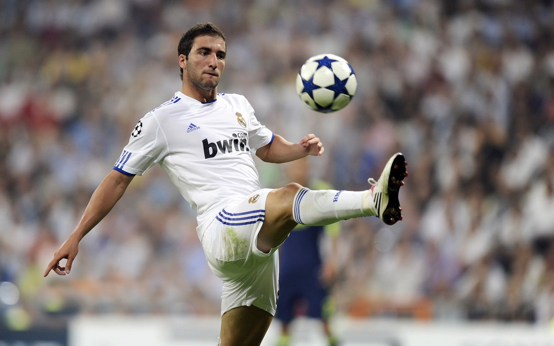 智诚不敌恒大，谋求保级希望更加渺茫，智恒置业